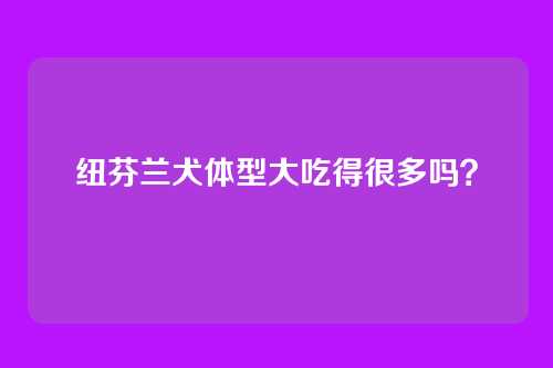 纽芬兰犬体型大吃得很多吗？