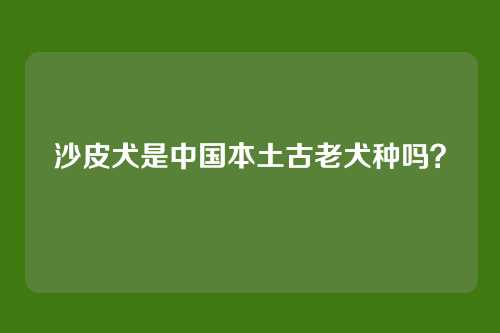 沙皮犬是中国本土古老犬种吗？