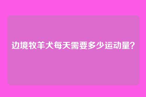 边境牧羊犬每天需要多少运动量？