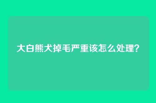 大白熊犬掉毛严重该怎么处理？