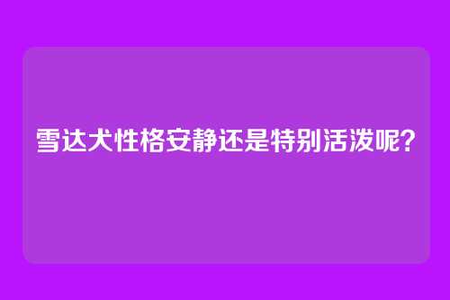雪达犬性格安静还是特别活泼呢？