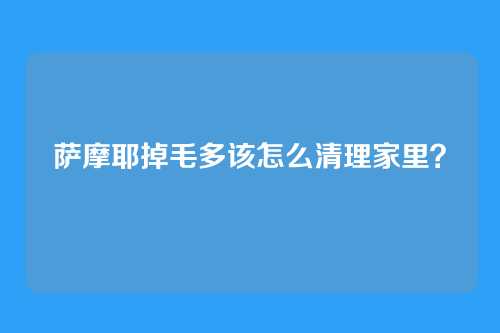 萨摩耶掉毛多该怎么清理家里？