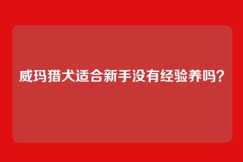威玛猎犬适合新手没有经验养吗？