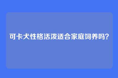 可卡犬性格活泼适合家庭饲养吗？