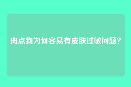 斑点狗为何容易有皮肤过敏问题？