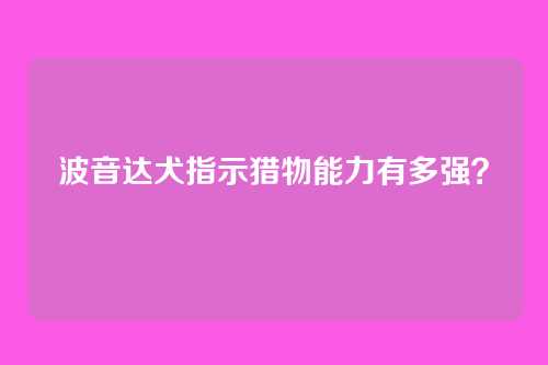 波音达犬指示猎物能力有多强？