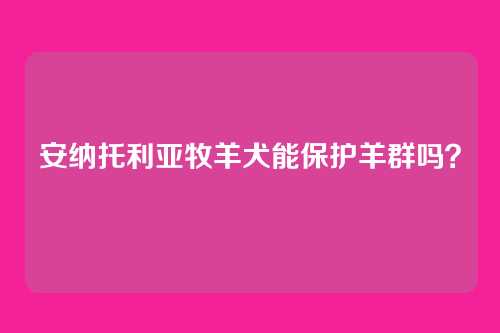 安纳托利亚牧羊犬能保护羊群吗？