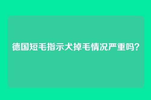 德国短毛指示犬掉毛情况严重吗？