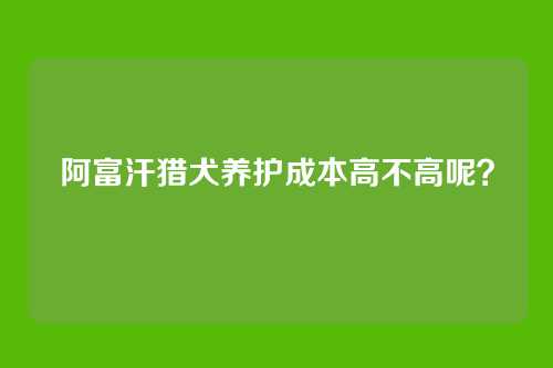 阿富汗猎犬养护成本高不高呢？