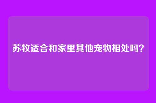 苏牧适合和家里其他宠物相处吗？