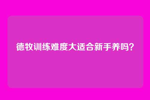德牧训练难度大适合新手养吗?