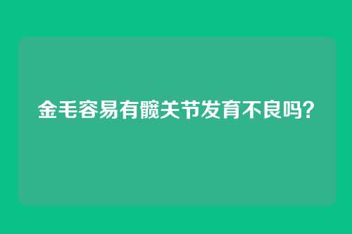 金毛容易有髋关节发育不良吗？