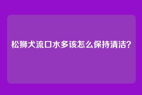 松狮犬流口水多该怎么保持清洁？