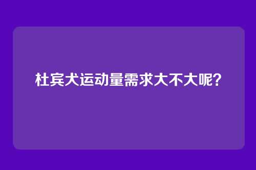 杜宾犬运动量需求大不大呢？