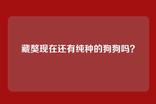 藏獒现在还有纯种的狗狗吗？