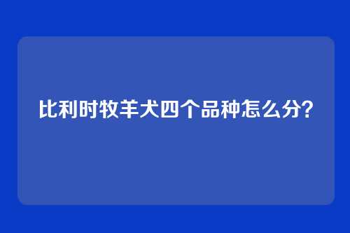 比利时牧羊犬四个品种怎么分？