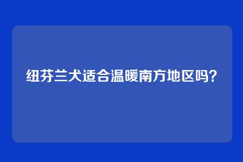 纽芬兰犬适合温暖南方地区吗?