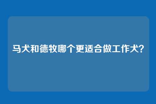 马犬和德牧哪个更适合做工作犬？