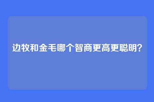 边牧和金毛哪个智商更高更聪明？