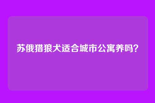 苏俄猎狼犬适合城市公寓养吗？