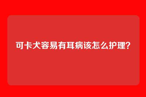可卡犬容易有耳病该怎么护理？