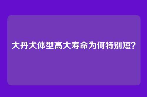 大丹犬体型高大寿命为何特别短？