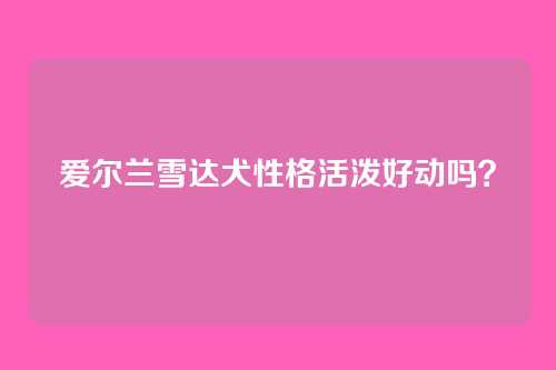 爱尔兰雪达犬性格活泼好动吗？