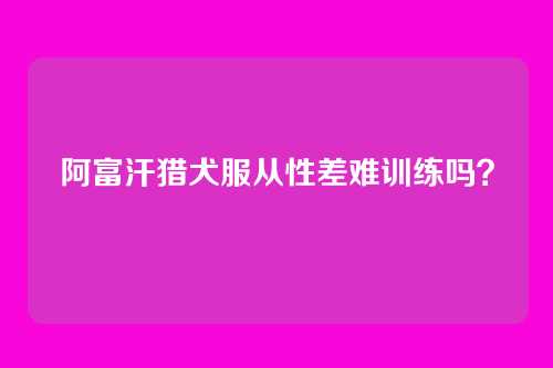 阿富汗猎犬服从性差难训练吗？
