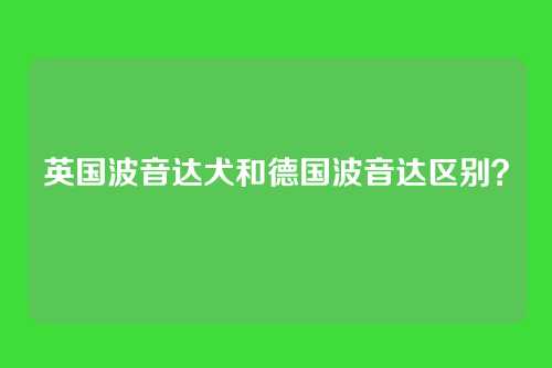 英国波音达犬和德国波音达区别？