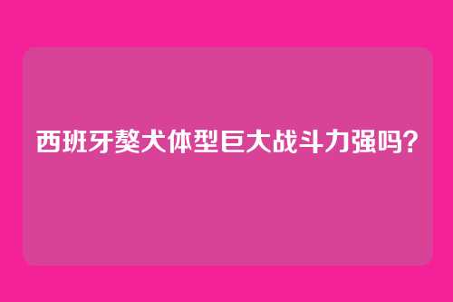 西班牙獒犬体型巨大战斗力强吗？