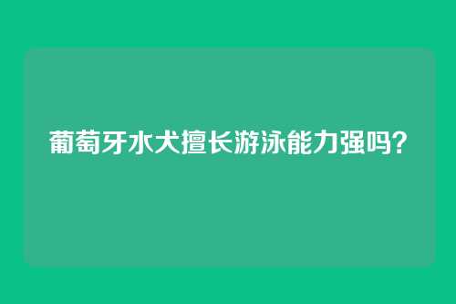 葡萄牙水犬擅长游泳能力强吗？
