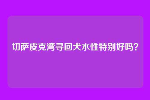 切萨皮克湾寻回犬水性特别好吗？