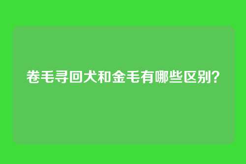 卷毛寻回犬和金毛有哪些区别？