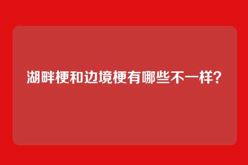 湖畔梗和边境梗有哪些不一样?
