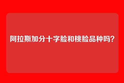 阿拉斯加分十字脸和桃脸品种吗？