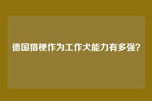 德国猎梗作为工作犬能力有多强？