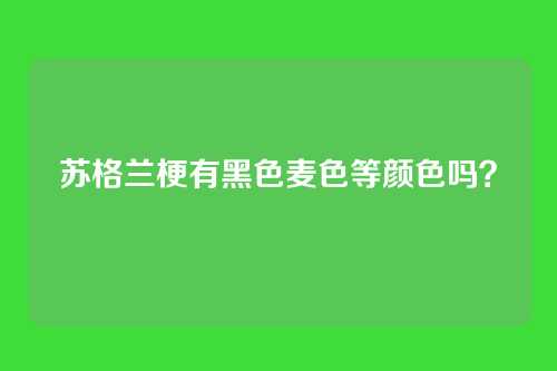 苏格兰梗有黑色麦色等颜色吗？