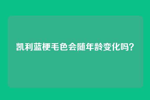 凯利蓝梗毛色会随年龄变化吗？