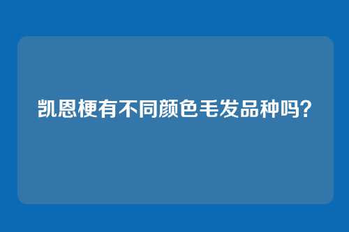 凯恩梗有不同颜色毛发品种吗？