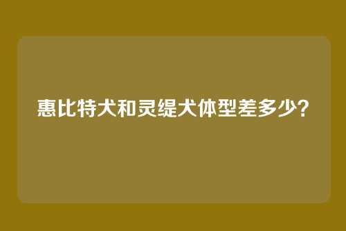 惠比特犬和灵缇犬体型差多少？