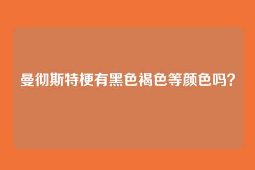 曼彻斯特梗有黑色褐色等颜色吗？