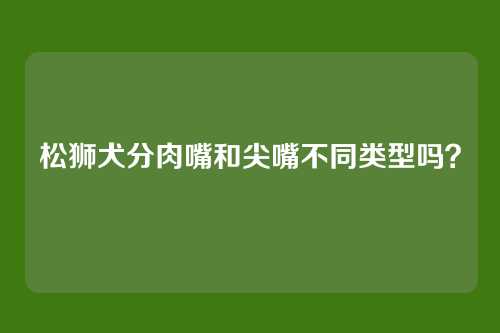 松狮犬分肉嘴和尖嘴不同类型吗?