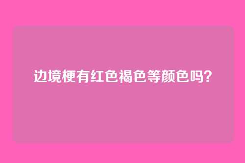 边境梗有红色褐色等颜色吗？