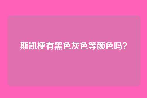 斯凯梗有黑色灰色等颜色吗？