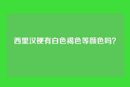 西里汉梗有白色褐色等颜色吗？
