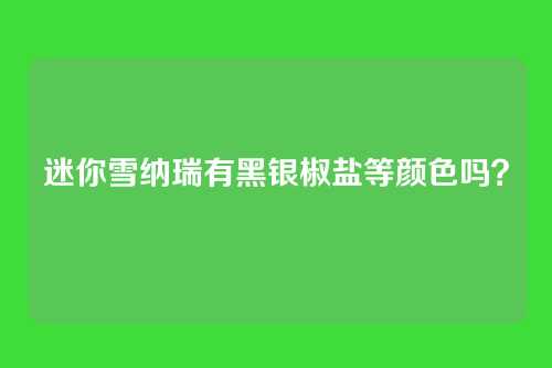 迷你雪纳瑞有黑银椒盐等颜色吗？
