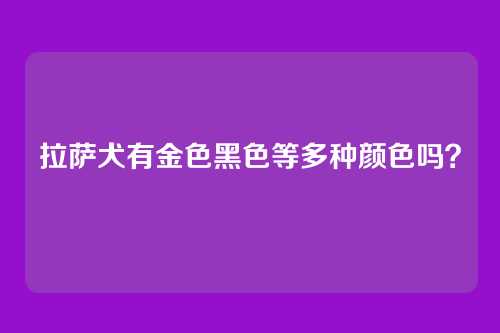 拉萨犬有金色黑色等多种颜色吗?