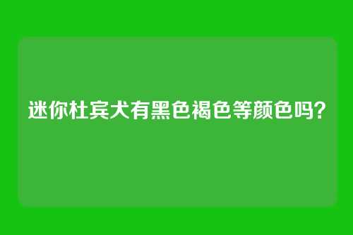 迷你杜宾犬有黑色褐色等颜色吗？