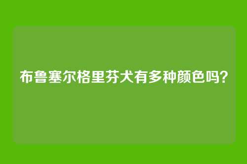 布鲁塞尔格里芬犬有多种颜色吗？