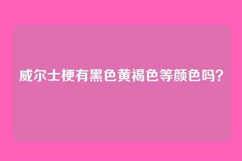 威尔士梗有黑色黄褐色等颜色吗？